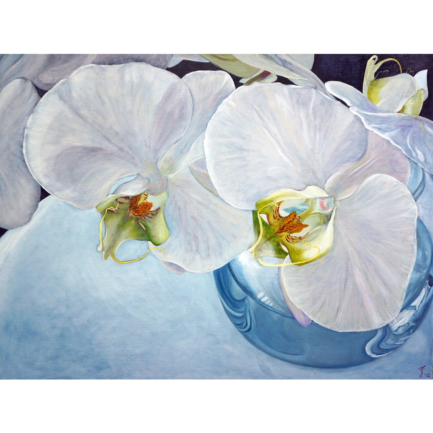 Oil on Canvas, 122 cm wide x 92 cm high x 3.5 cm deep.  Orchids have an intrinsic, visually captivating and mesmerizing beauty. Your eye is drawn inwards into its centre and you are held there by its spell. The Orchid becomes a playful object that captures and radiates light.