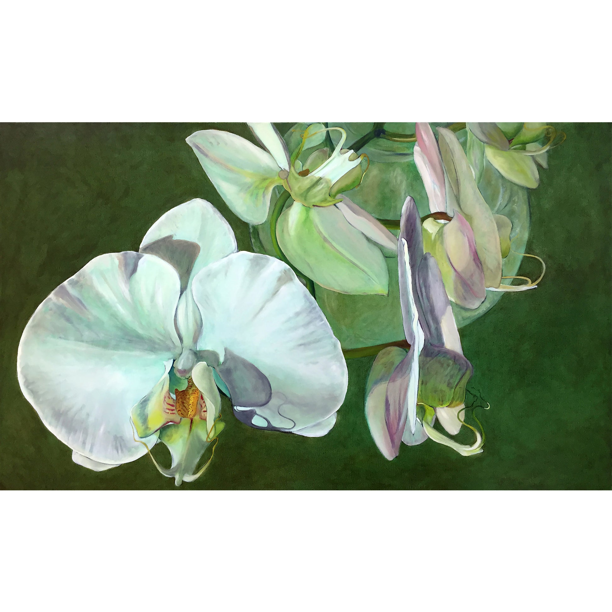 Orchids have an intrinsic, visually captivating and mesmerizing beauty. Your eye is drawn inwards into its centre and you are held there by its spell. The Orchid becomes a playful object that captures and radiates light.