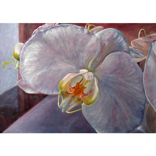 Orchids have an intrinsic, visually captivating and mesmerizing beauty. Your eye is drawn inwards into its centre and you are held there by its spell.  This painting captures the effect of the early morning light on the flower.