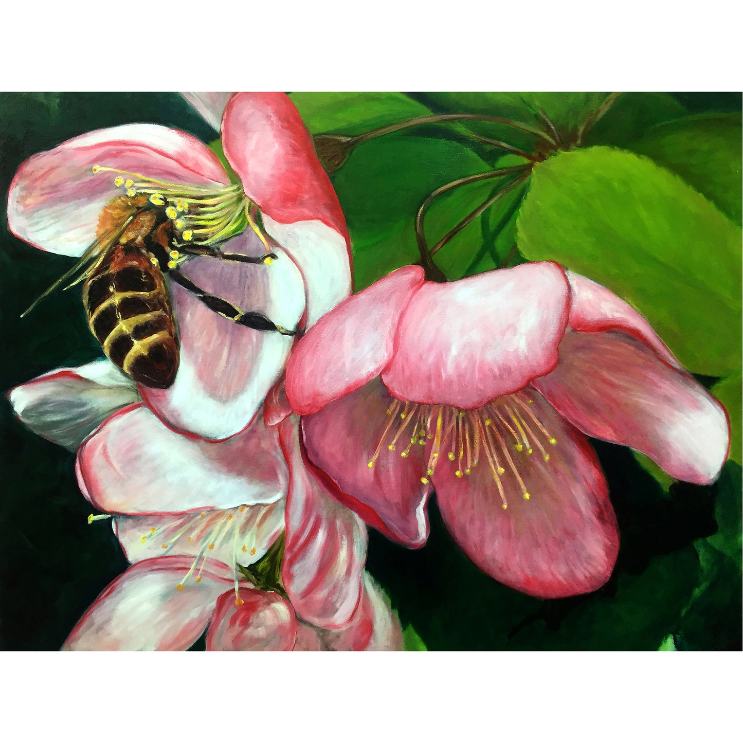 Bee and pink blossom. A voyeuristic oil painting, up close and personal, glorifying the intimate, private and symbiotic relationship between flower and bee.