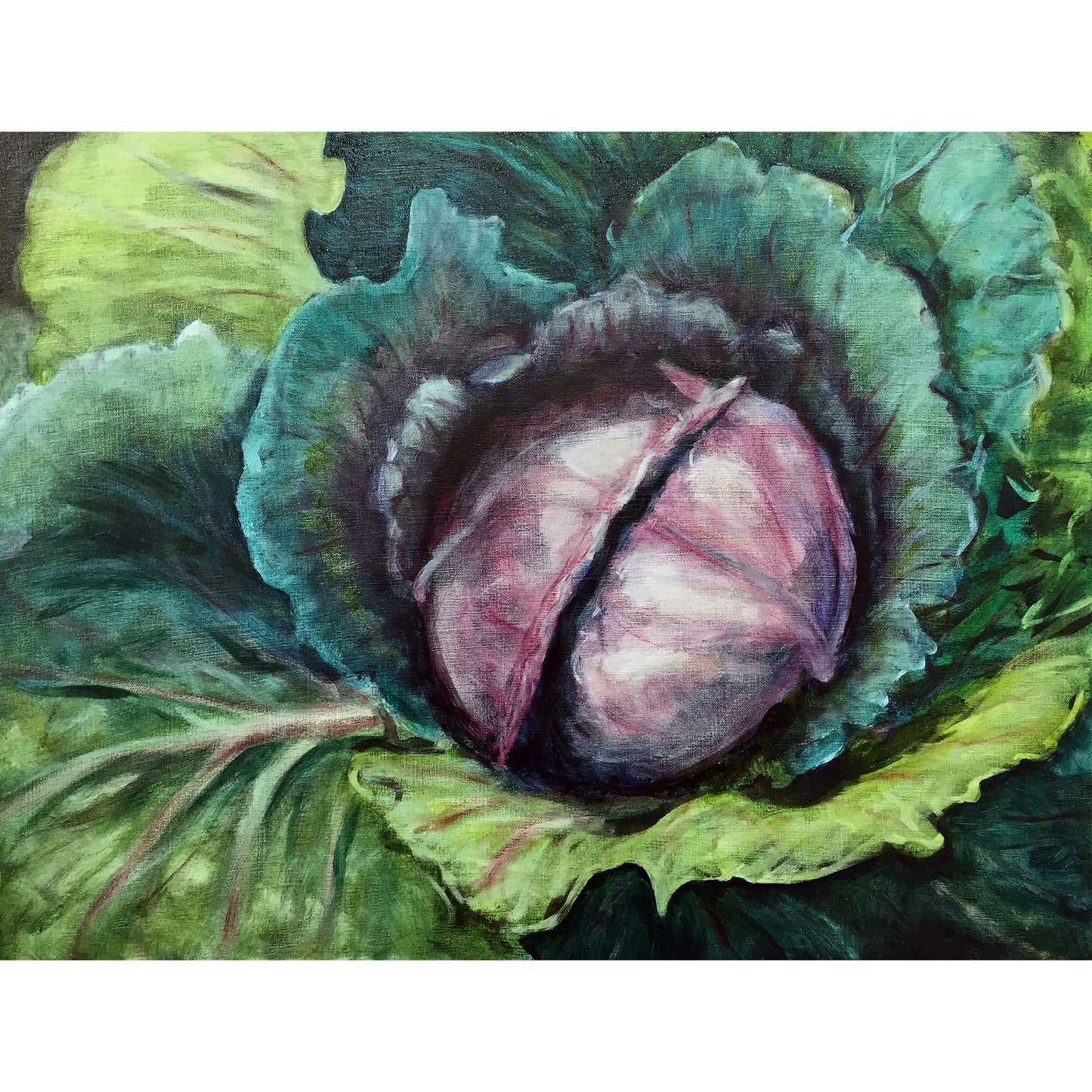 Cabbages have an intrinsic inner beauty. A beauty that blossoms outward, capturing the energy of the sun and transposing it into a nourishing, radiating, lifegiving force. The Cabbage becomes our primordial symbolic “earth mother”.