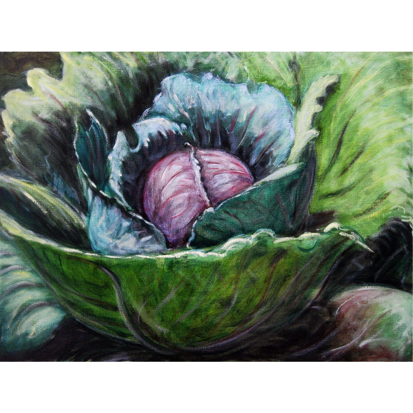 Oil painting of a cabbage. Cabbages have an intrinsic inner beauty. A beauty that blossoms outward, capturing the energy of the sun and transposing it into a nourishing, radiating, lifegiving force. The Cabbage becomes our primordial symbolic “Earth Mother”. 