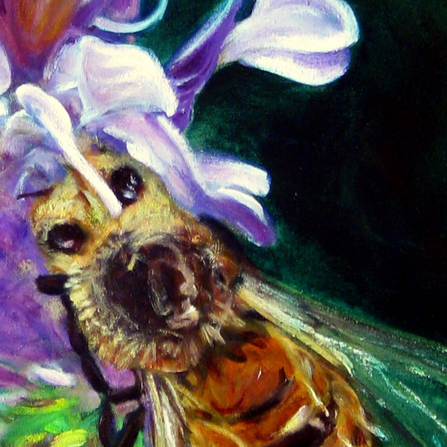 Bee With Violet Flowers